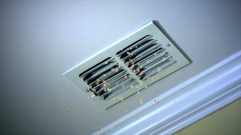 Best Ductwork Cleaning Services  in Raymond, WI