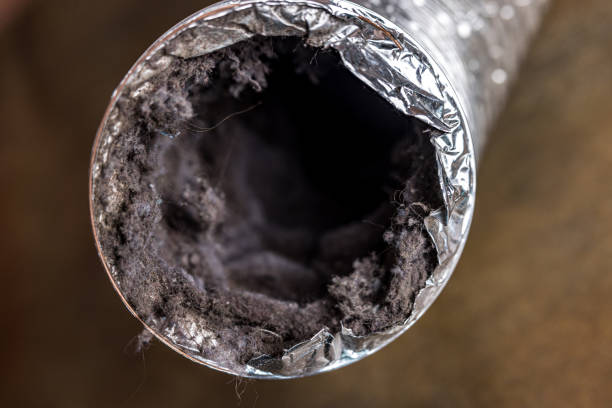 Best Home Air Vent Cleaning  in Raymond, WI