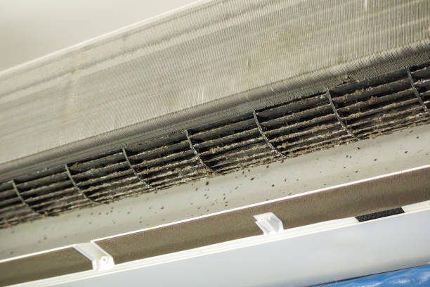 Best Ductwork Cleaning Services  in Raymond, WI